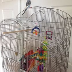 Bird Cage 