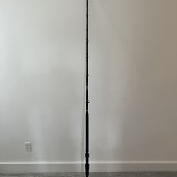 Seeker Rod 7 Feet