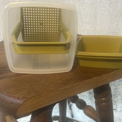 Tupperware Pickle Container 