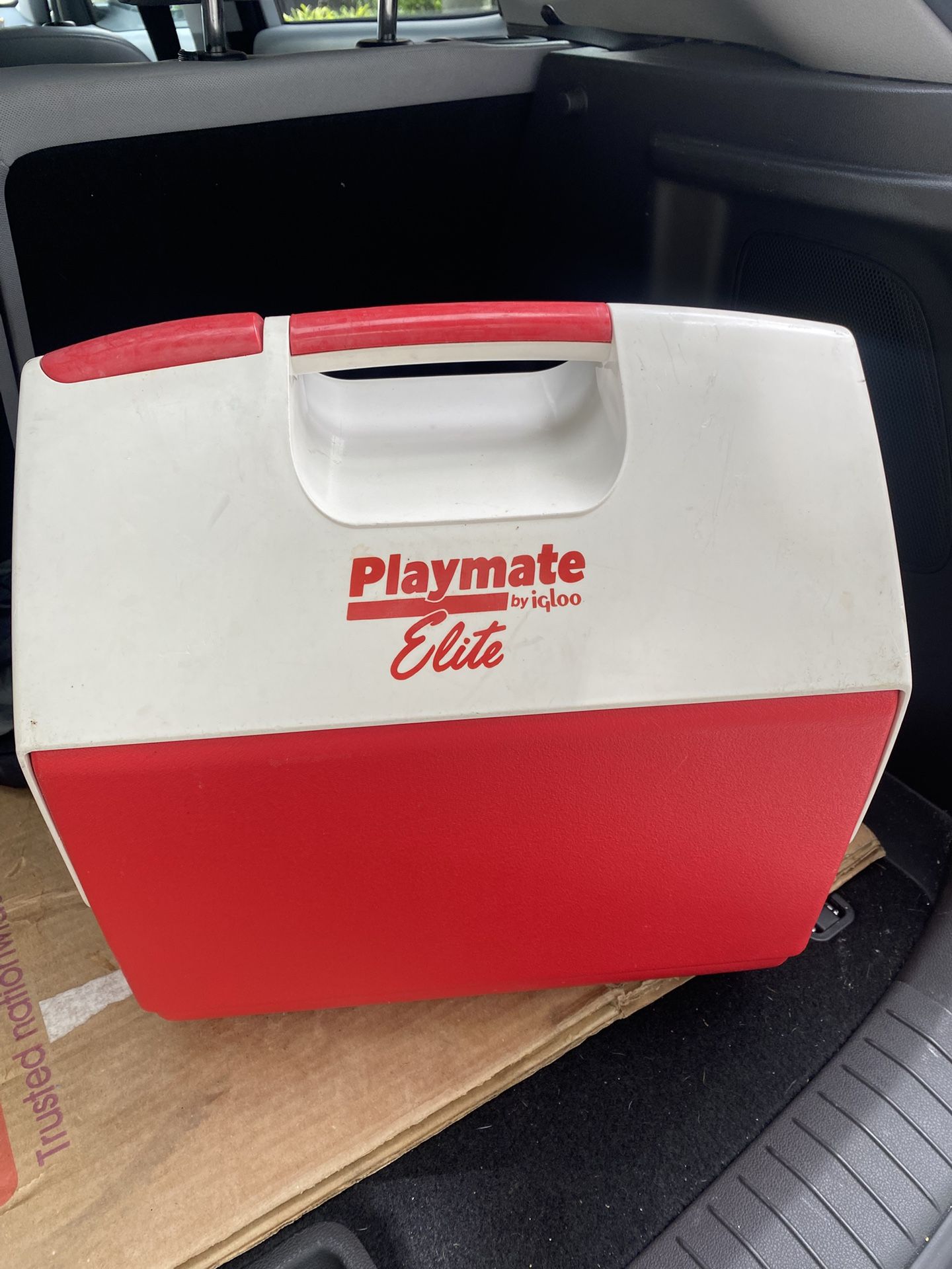 Small Cooler