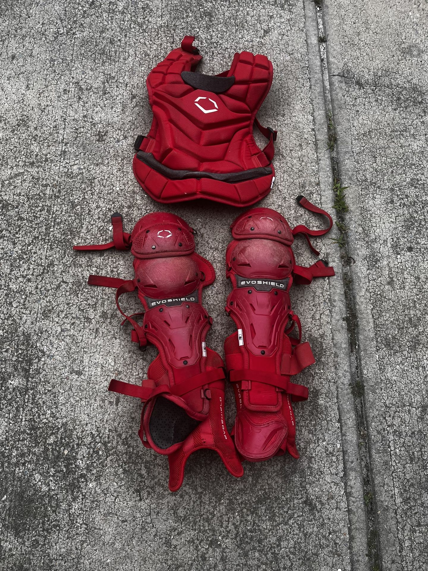 Adult Catcher Gear