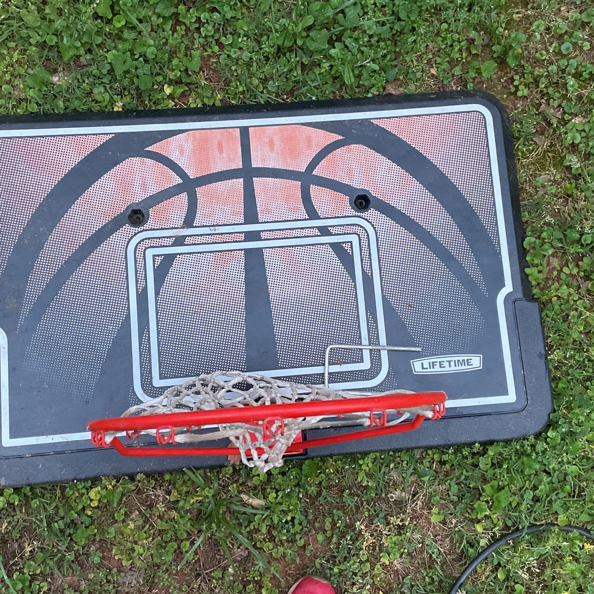 Basketball Backboard And Hoop 