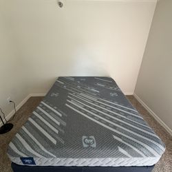 Mattress and Box Spring