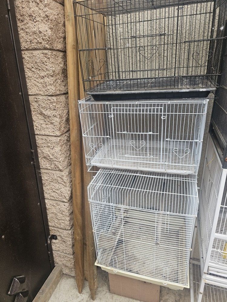 Bird Cage