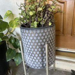 Big Plant Pot