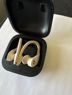 Beats Powerbeats Pro Wireless Earbuds