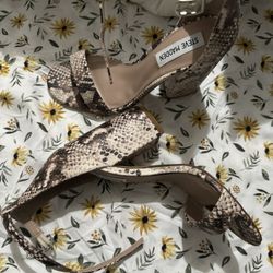Steve Madden