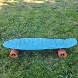 Small Skateboard