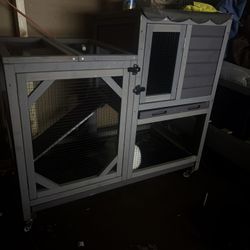 Bunny Cage And Bunny 