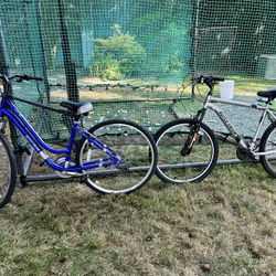 Women’s And Men’s Royce Union Bikes