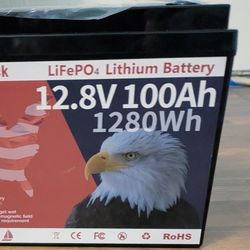 Lifepo4 P Lithium 12.8 100ah