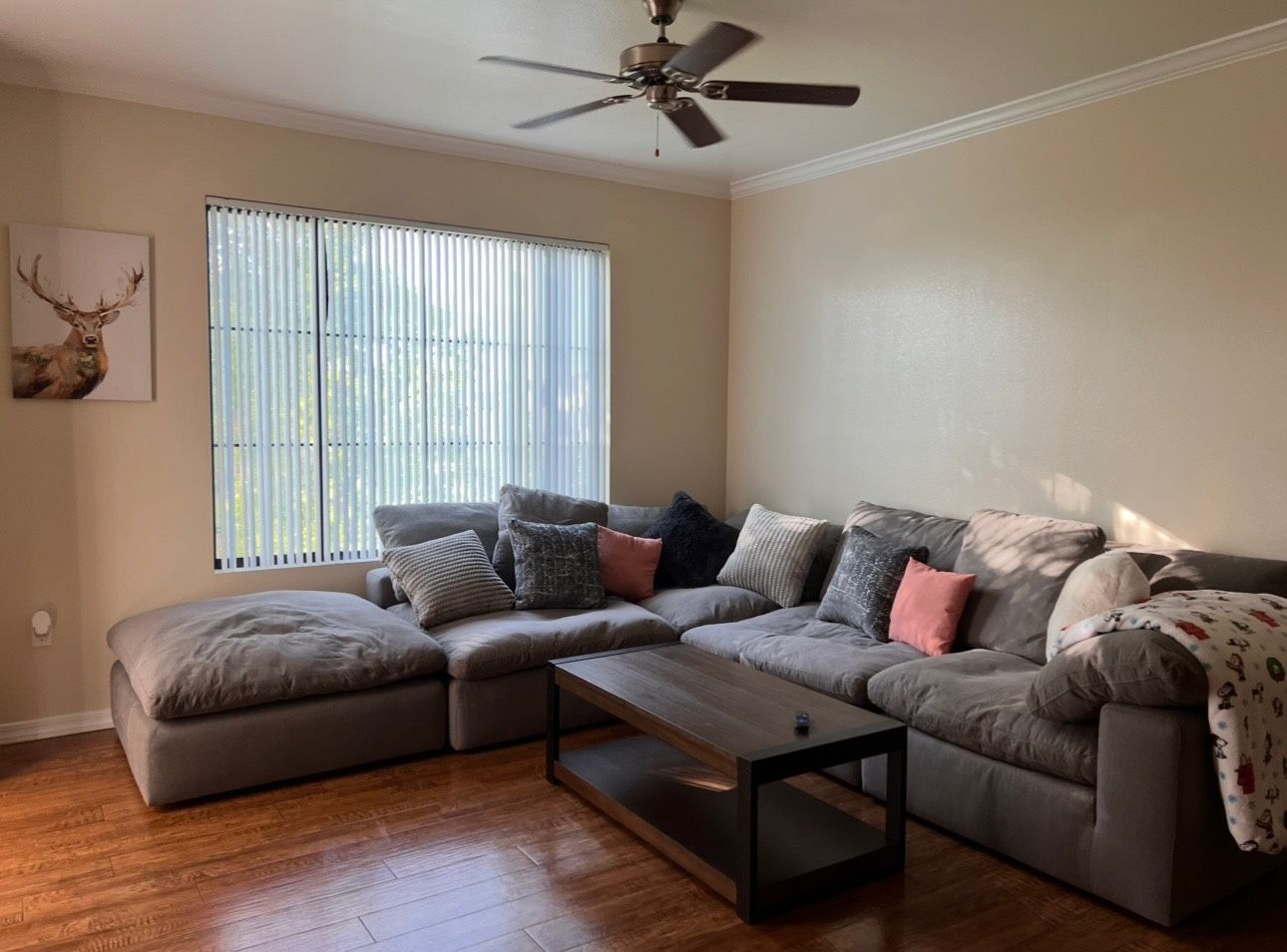 Grey Modular Couch - 5 Piece - Dream Collection