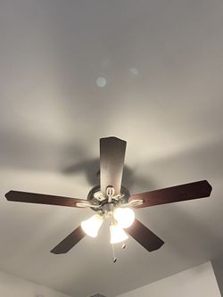 3 Brand New Fans