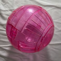 7 Inch Hamster Exercise Ball, Food Dish, Water Bottle