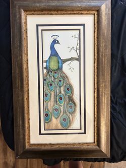Beautiful Framed Peacock Wall Art