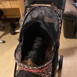 Dog Stroller 