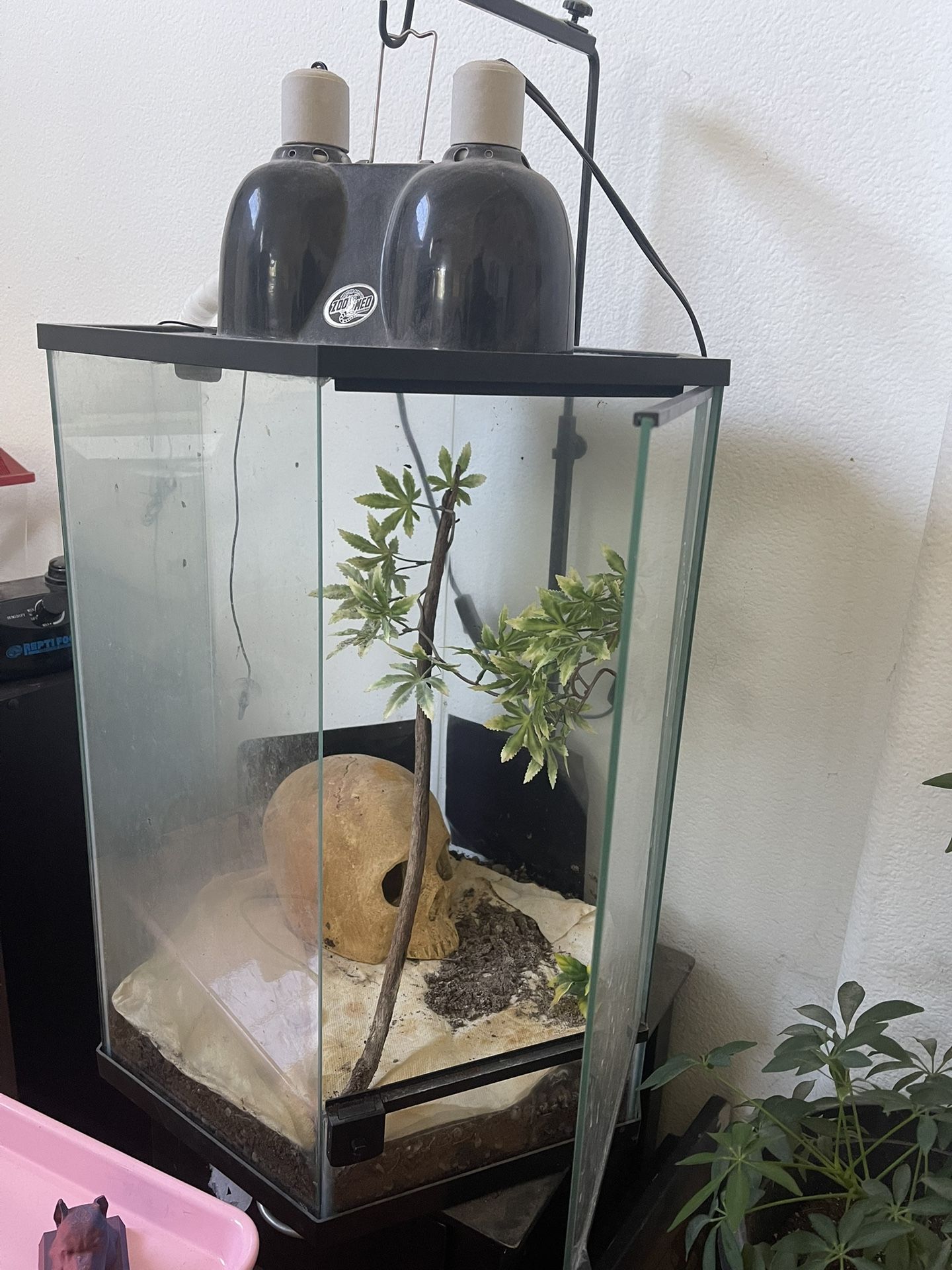 Terrarium