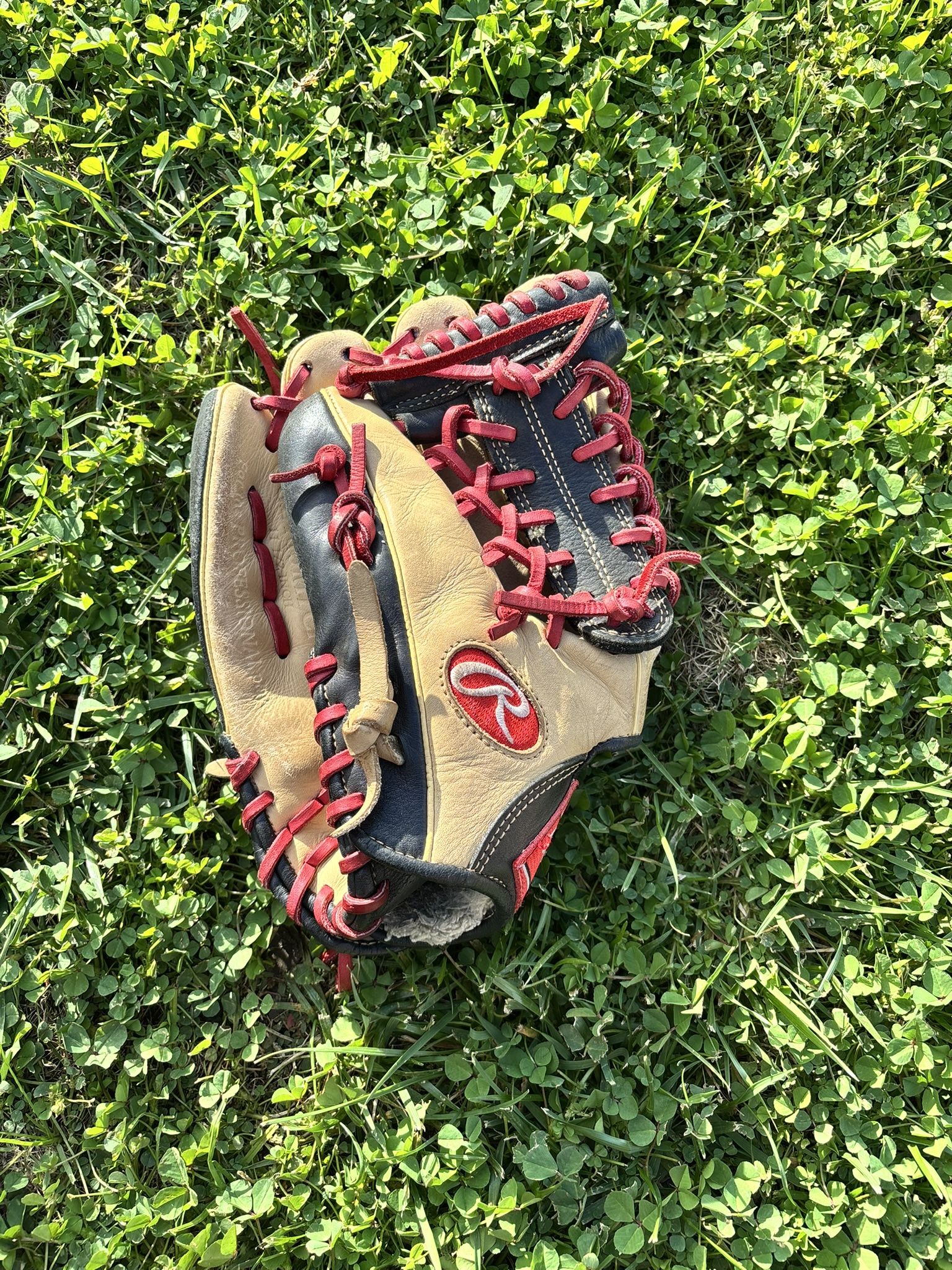 Rawlings Baseball Glove