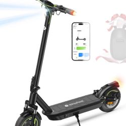 Electric Scooter 800w