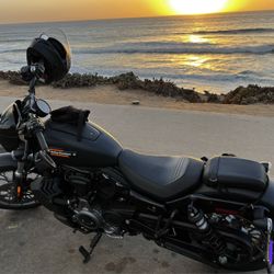 2024 Harley Davidson Nightster Special