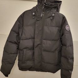 Canada goose size L