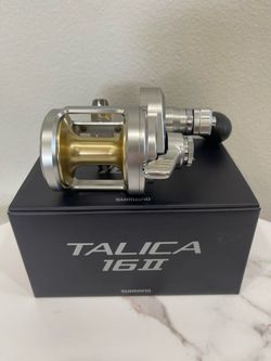 Talica 16