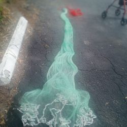 WOW-ORIGINAL BIG CAST NET-12' FT/1"MESH FOR MULLET OR TILAPIA-WITH REAL LEAD WEIGHT BEAUTIFUL BRAND NEW $225 CASH ONLY