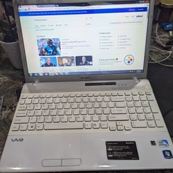 Sony VAIO Laptop