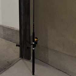 Roddy Limited Edition Fishing Rod