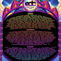 EDC VIP SUNDAY 