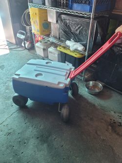 Cooler
