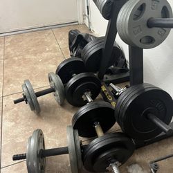 Adjustable Weights