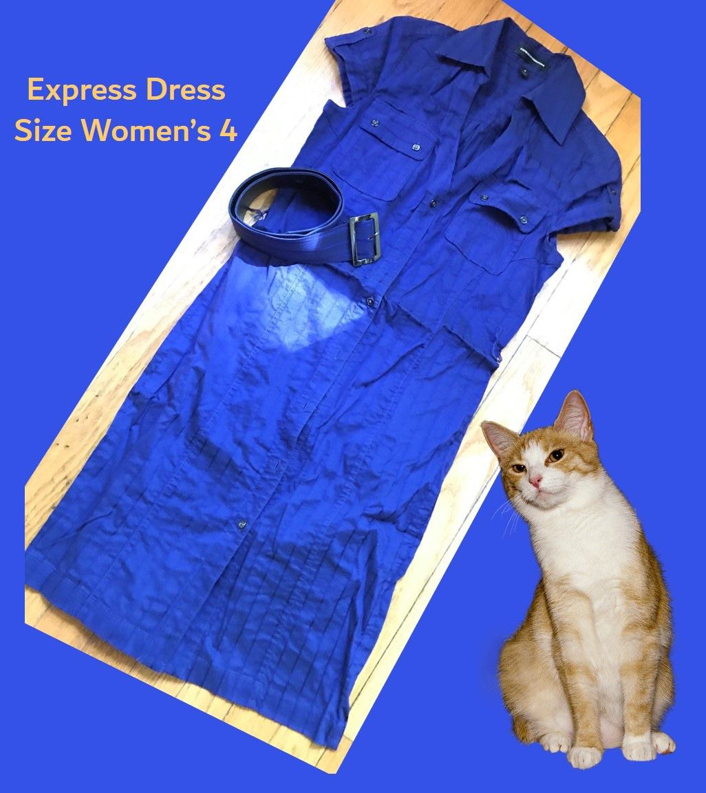 👗 Express Button-Up Navy Point Dress Size 4