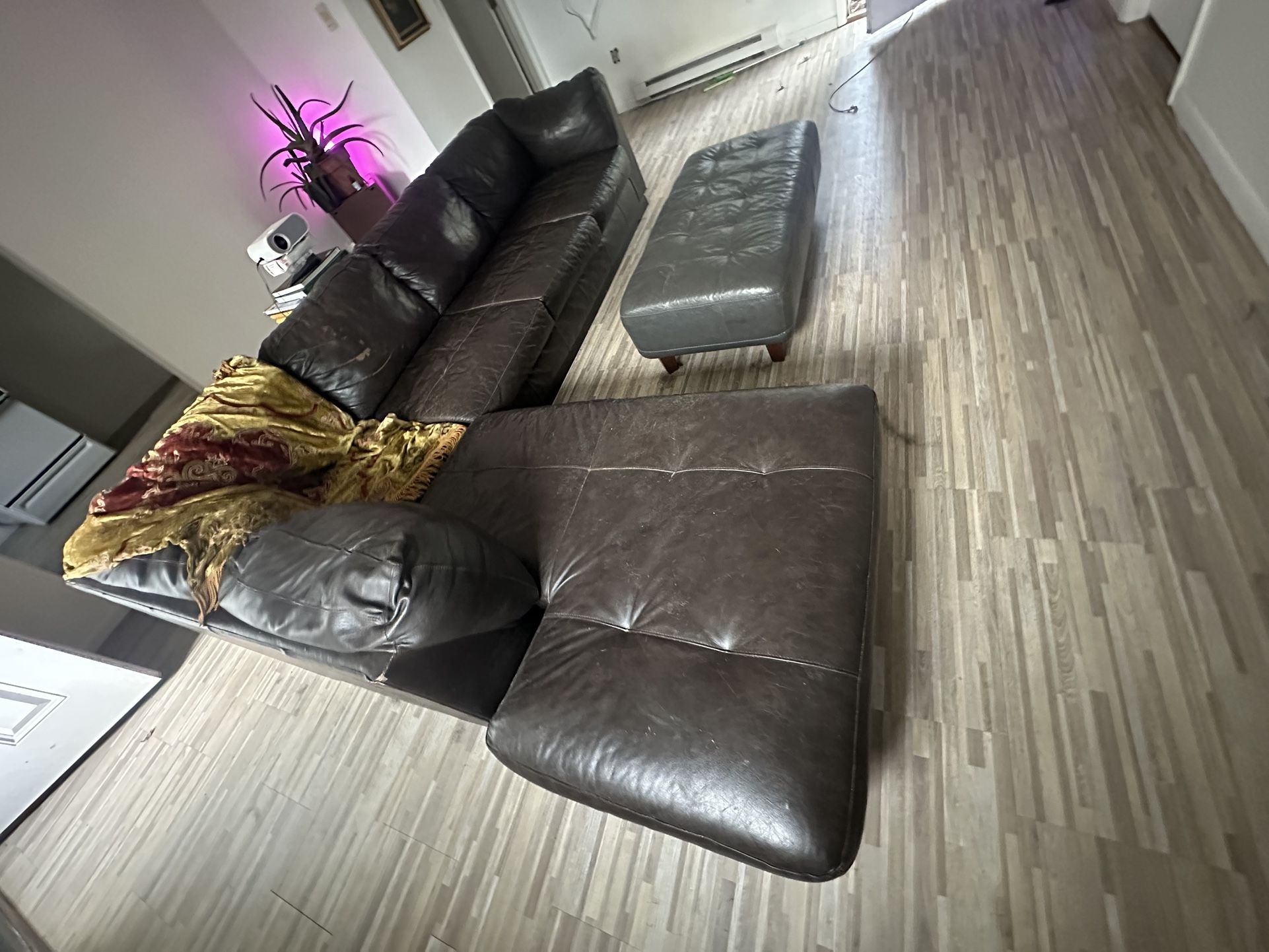 Leather Couch Sectional