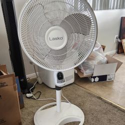 Fan