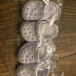 Dog Crocs 