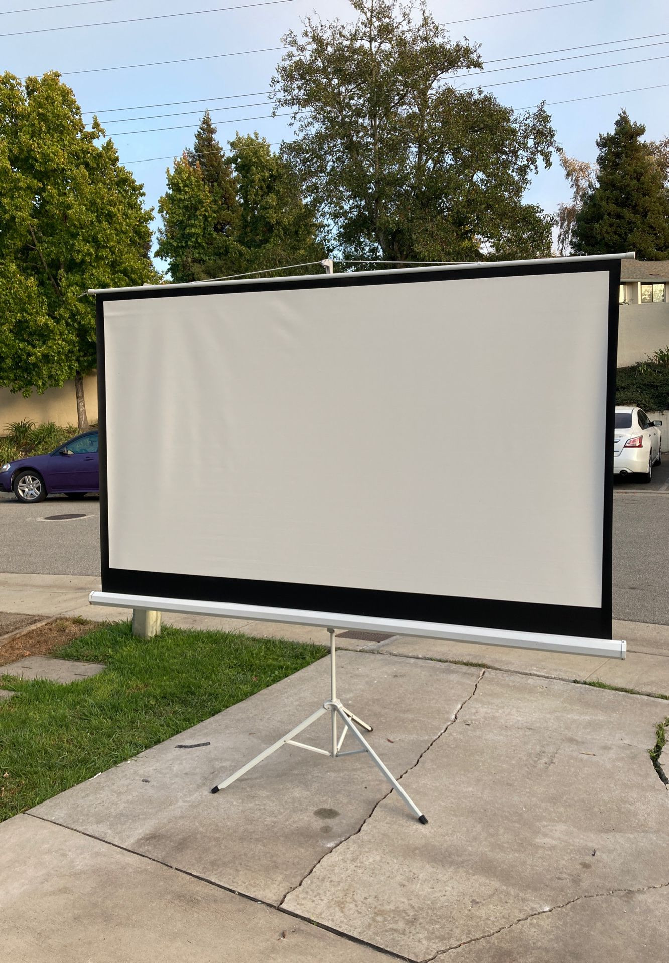Movie projector screen