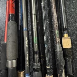 One Witch doctor Rod Plus Many Broken rods