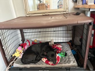 Pet gear kennel