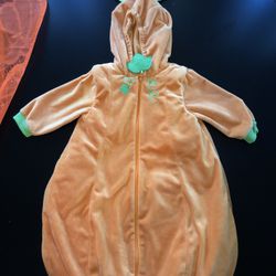 Pumpkin Costume