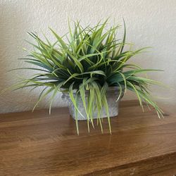 Faux Plant