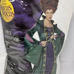 Spirit Halloween Disney Hocus Pocus  Winnie Sanderson Halloween  Witch Costume Adult Medium (New)