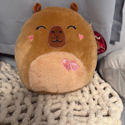 Capybara squishmallow