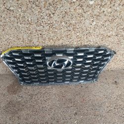 2020-22 Hyundai Palisade Grill (Auto Parts)