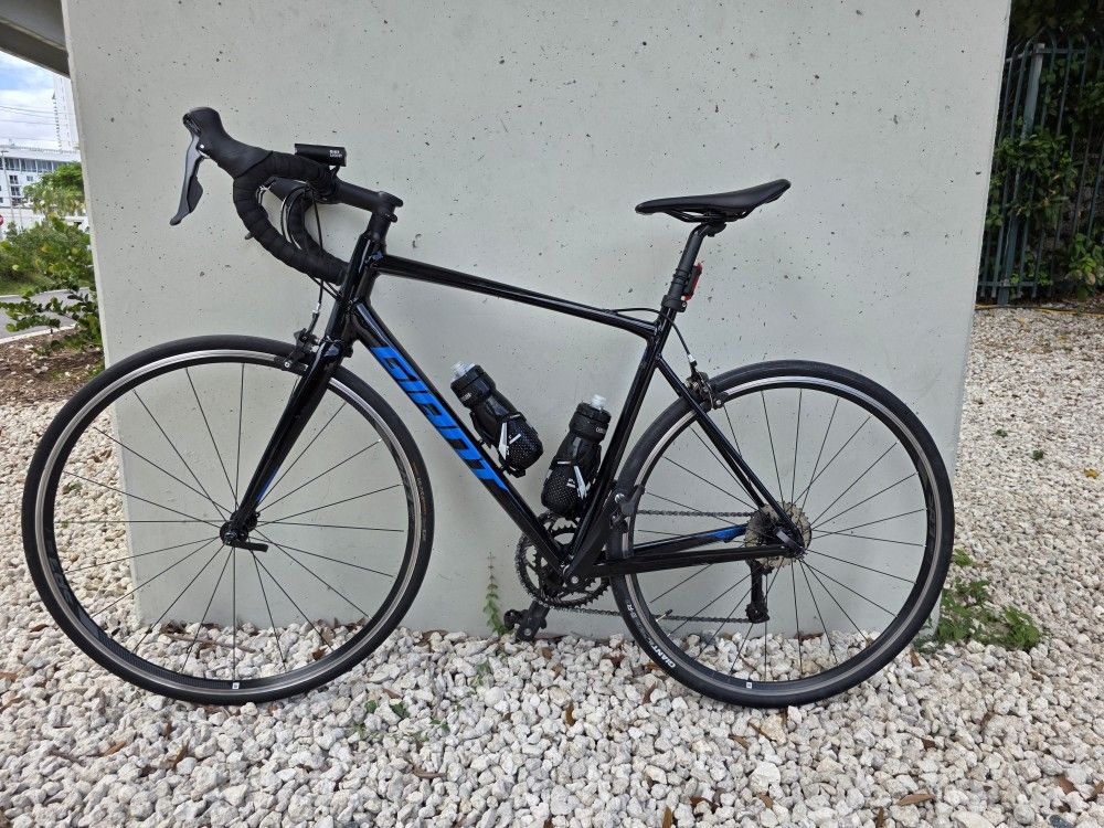 Giant Contend Bike ( 56 )