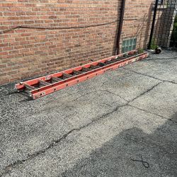 Fiber Glass Ladder 