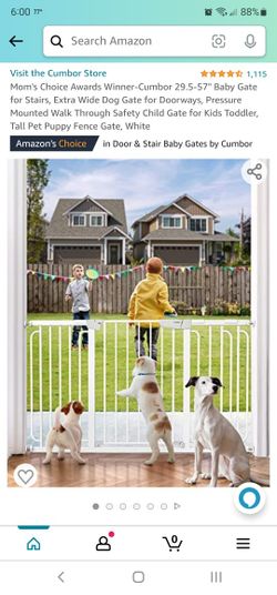 Dog Gate