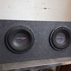 10 Inch Subwoofer