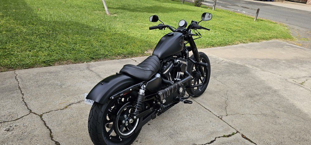 2021 Harley-Davidson Sportster 883 iron