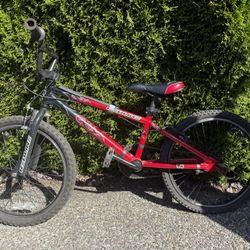 Redline Junior bicycle 